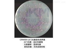 CRM003大肠菌群大肠杆菌显色培养基（ECC）