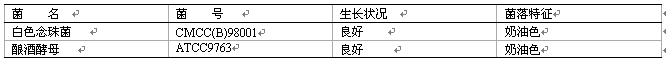 酵母浸出粉胨葡萄糖琼脂培养基(YPD)