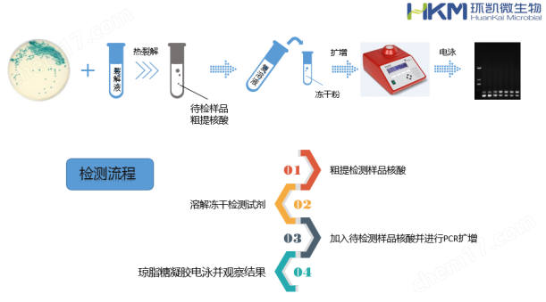 环凯微生物快检试剂盒操作示意图