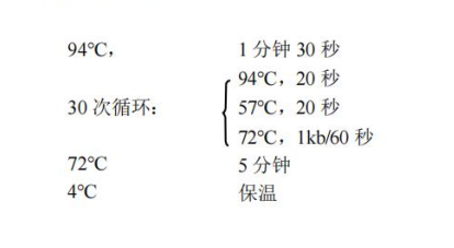 常用PCR 循环